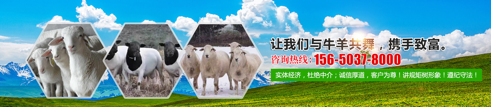梁山县华梁畜牧养殖专业合作社