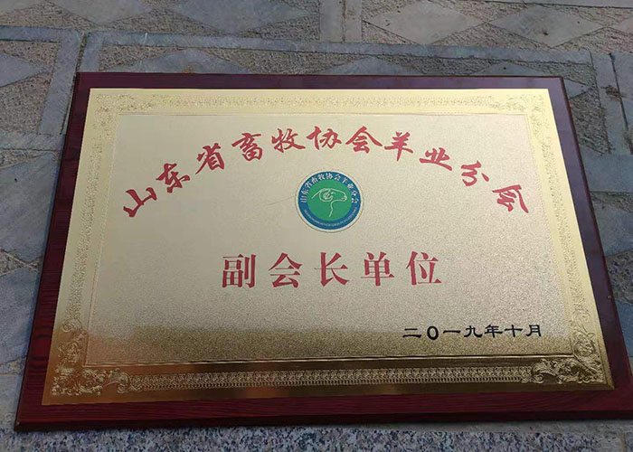 荣誉资质05.jpg