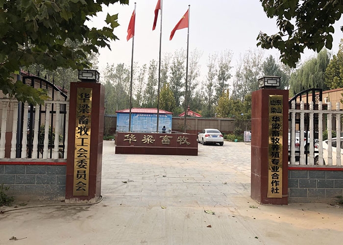 厂房展示
