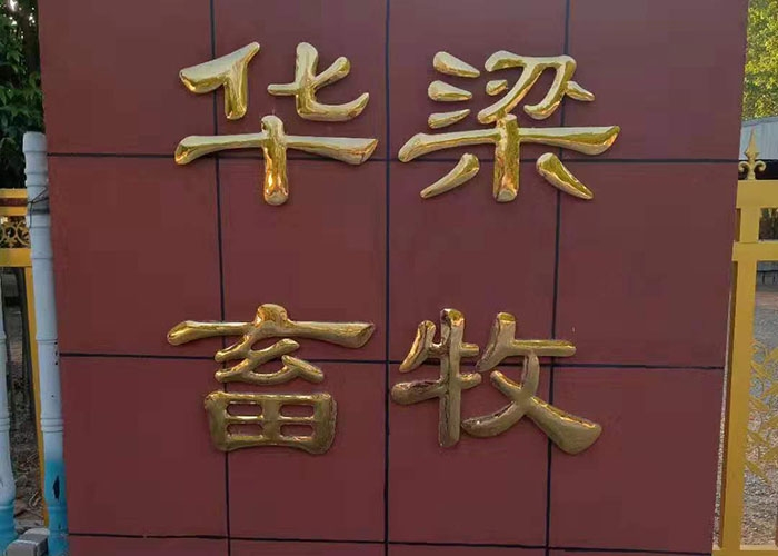 厂房展示