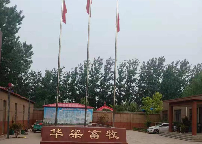 厂房展示