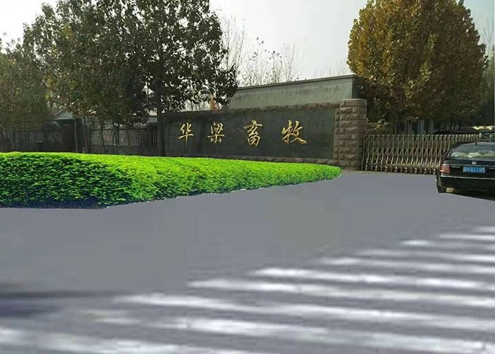厂房展示