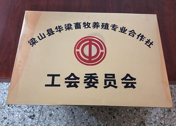 资质证书