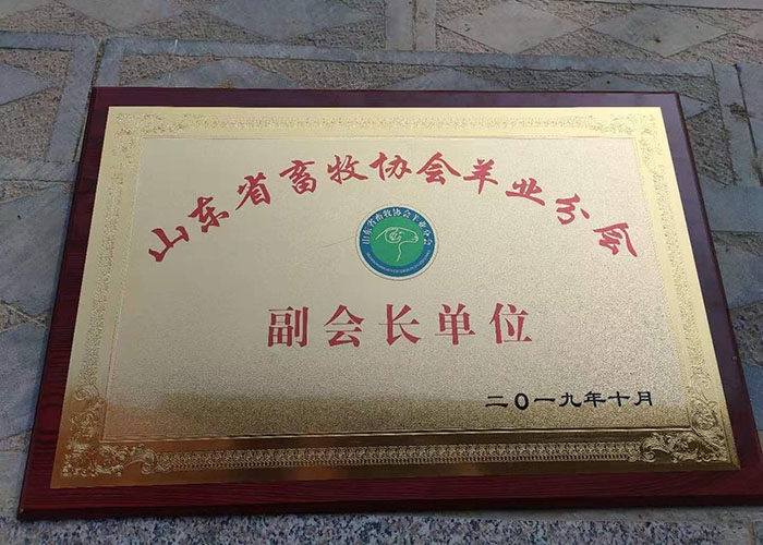 资质证书