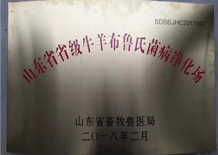 资质证书