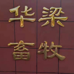 厂房展示