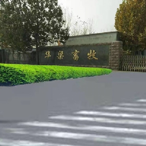 厂房展示