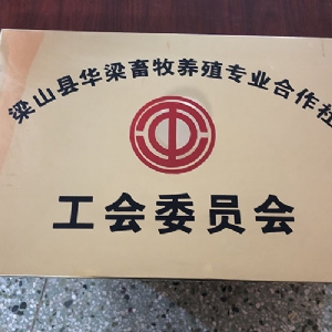资质证书