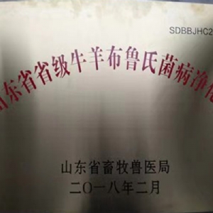 资质证书