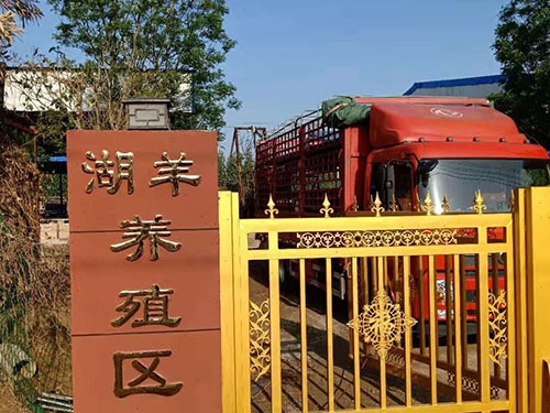 厂房展示