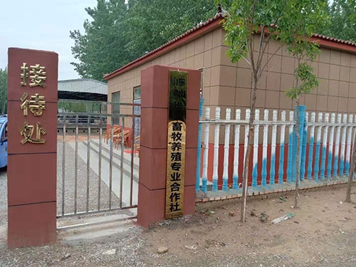 厂房展示
