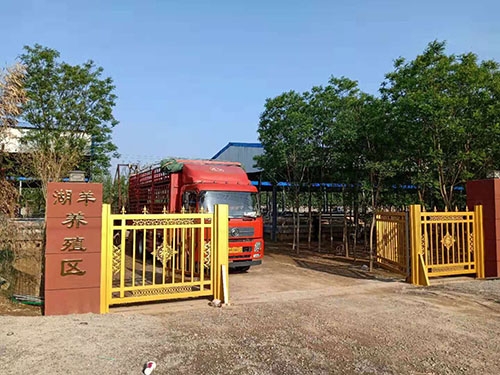 厂房展示