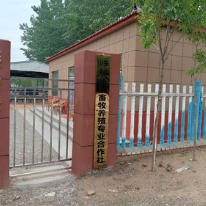 厂房展示