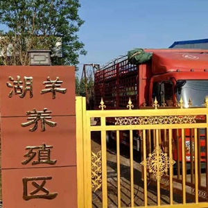 厂房展示