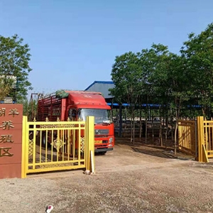 厂房展示